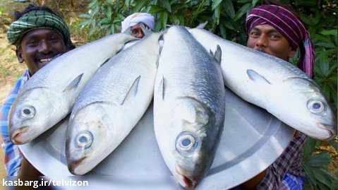 سرخ کردن ماهی برای خانواده روستایی | آشپزی روستایی (قسمت 18)