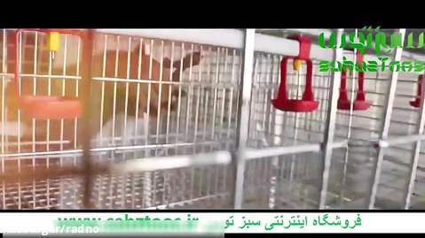 تولید کننده قفس مرغ قفس بلدرچین تخمگذار  مشهد