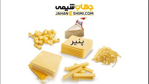 تاریخچه پنیر و انواع آن