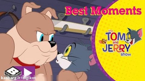 کارتون تام و جری - اسپایک در مقابل تام - 2 - موش و گربه