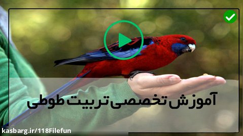 آموزش پرورش طوطي-نگهداری طوطی بیمار-دستی کردن طوطی شما ویدیو اول