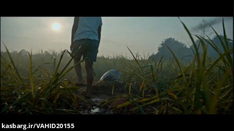 تریلر فیلم ترسناک دریاچه (THE LAKE (2022