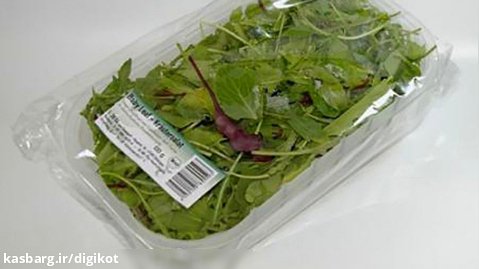 پیدا شدن قورباغه زنده در بسته بندی سبزیجات فروشگاهی