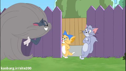 کارتون تام و جری | سبیل تام | موش و گربه جدید | دانلود تام و جری