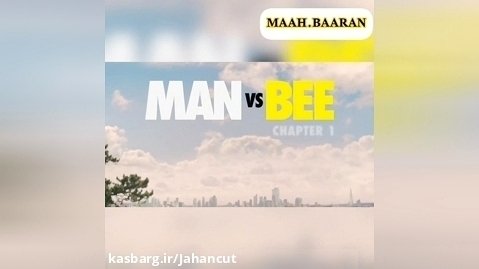 نبرد مرد و زنبور