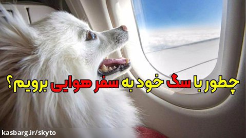 چطور با سگ خود سوار هواپیما شویم؟