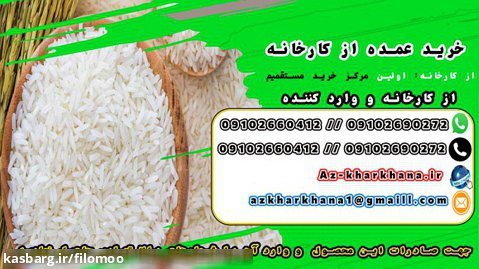 خرید برنج پاکستانی و قیمت امروز برنج پاکستانی - از کارخانه