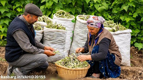 برنامه زندگی روستایی - آشپزی در طبیعت قسمت 94 - نگهداری لوبیا سبز به مدت 1 سال