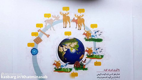 آموزش ویدیویی آزمون مرحله اول کلاس ششم تیزهوشان ایران آزمون