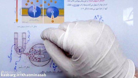 آموزش ویدیویی زیست شناسی قسمت دوم ایران آزمون