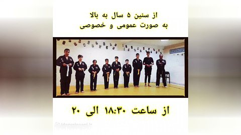 هنر رزمی استاد حمزه احمدی میدان المپیک