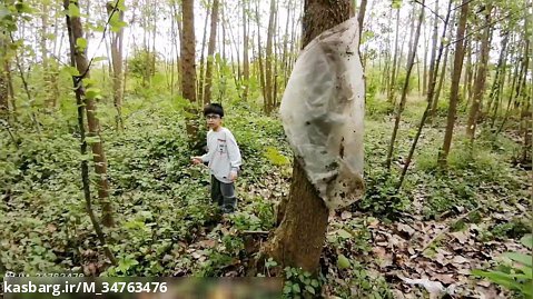 فیلم سینمایی ماجرا جویان در جنگل 2