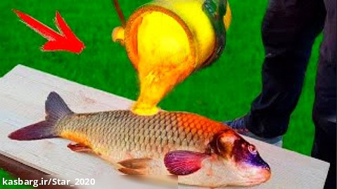آزمایش علمی و جالب - ماهی مقابل گدازه