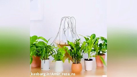 چند تکنیک برای رشد گیاهان