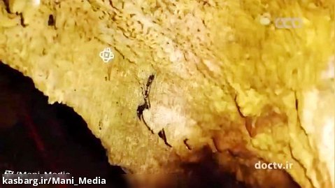 کاوش در اقيانوسها - قسمت 7 نجات از غار تایلند (دوبله فارسی)