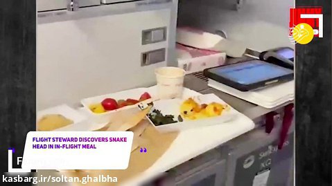پیدا شدن سر   مار   در غذای هواپیما