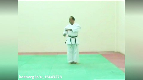 کاتا پینان گودان کاراته سبک وادوریو