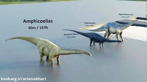 مقایسه بزرگترین و کوچکترین جانداران روی کره ز مین