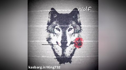 Wolf single