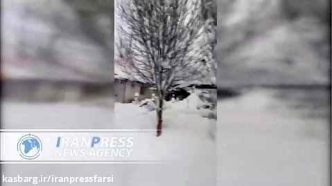 ویدئوی بارش سنگین برف درمنطقه پلور جاده هراز