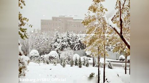 اولین برف پاییزی دانشگاه شهید بهشتی؛ سال ۱۴۰۱