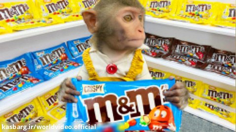 برنامه کودک بجه میمون _ سوپرمارکت و خرید _ فیلم کودکانه "