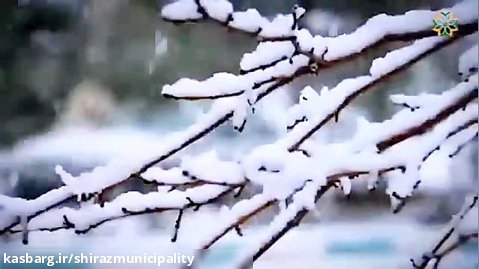 تلاش نیروهای شهرداری شیراز در روز سرد بارانی و برفی