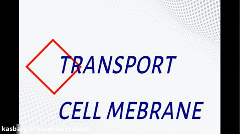 Biology - transport from cell membrane