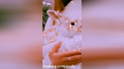 کیوت خرگوش دخترانه