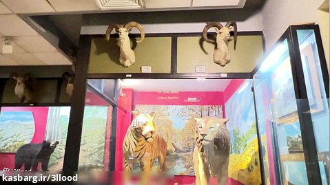 موزه تنوع زیستی تهران
