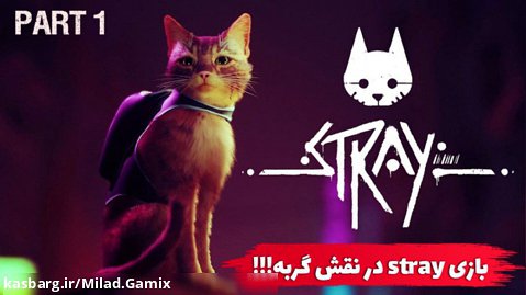 گیم پلی بازی stray پارت اول/در دنیایی ماجرا جویی با گربه!!!