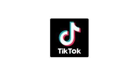 Tik Tok logo animation