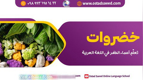 باقالا به عربی چی میشه؟ سبزیجات به عربی