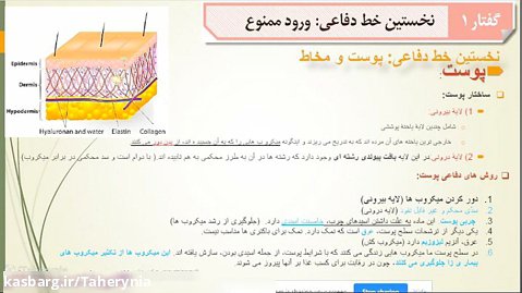 دستگاه ایمنی(فصل 5-1 گفتار1) طاهری نیا