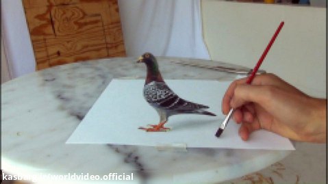 نقاشی سه بعدی - کبوتر