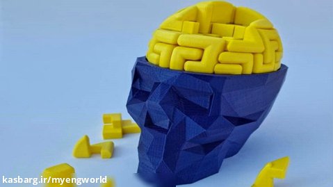پازل سه بعدی مغز - جایزه ویژه تست هوش 1