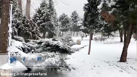 بارش زیبای برف/ تهران و البرز سفیدپوش شد