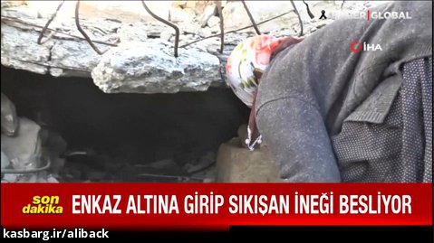 زلزله ترکیه مادری که هر روز زیر آوار میره به گاو گیر کرده اش غذا میده
