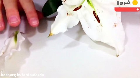 اجزای مختلف گل