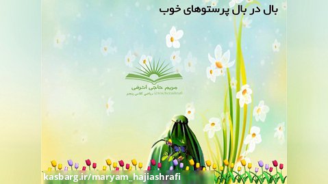 بال در بال پرستوها ،فارسی پنجم درس 13 مریم حاجی اشرفی