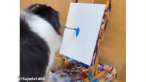 این سگ واقعا یک هنرمند