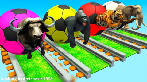 چالش مسابقه حیوانات / بازی رولینگ توپ فوتبال / کارتون جدید کودک