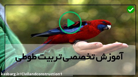 فیلم آموزش تربیت طوطی-نشانه بیماری پرنده