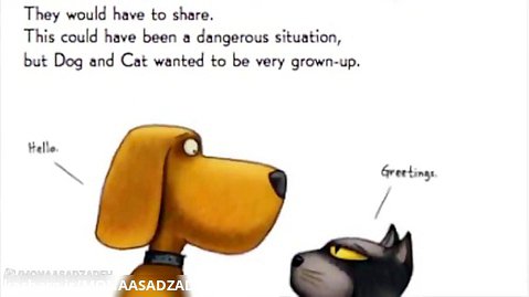 the dog vs the cat