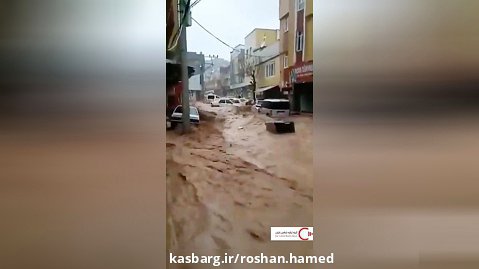 ویدئوی دیگری از سیل در مناطق زلزله زده ترکیه
