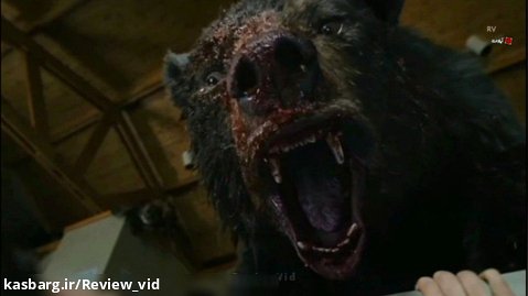فیلم سینمایی خرس کوکائینی COCAINE BEAR 2023