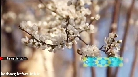 ترانه شاد و زیبای " بهار خانوم " با صدای آقای قاسم افشار - شیراز