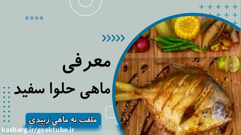 معرفی ماهی حلوا سفید یا زبیدی | خواص و قیمت و خرید ماهی حلوا سفید