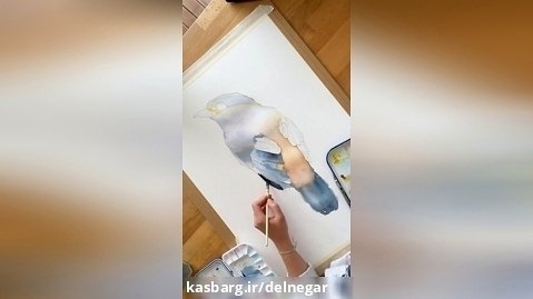 نقاشی از پرنده با آبرنگ