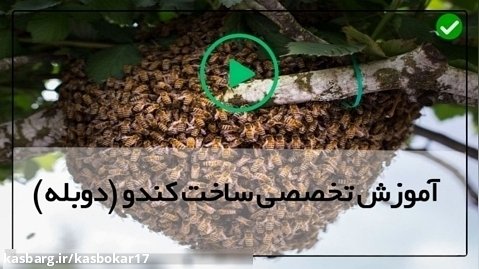 آموزش ساخت کندو زنبورعسل